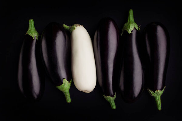 white aubergine black eggplant. concept Racism tolerance difference balance. Energy of vitamins and vegetables. Vegan food healthy ripe fresh. background texture creative. organic eco bio. diversity 