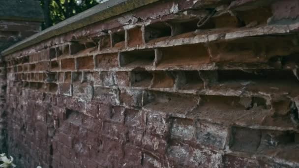 Stary mur ceglany — Wideo stockowe