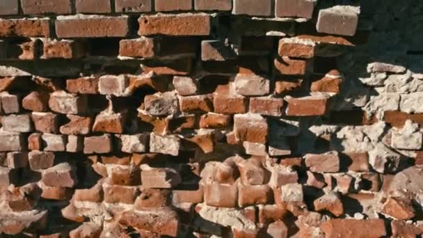 Старая кирпичная стена — стоковое видео