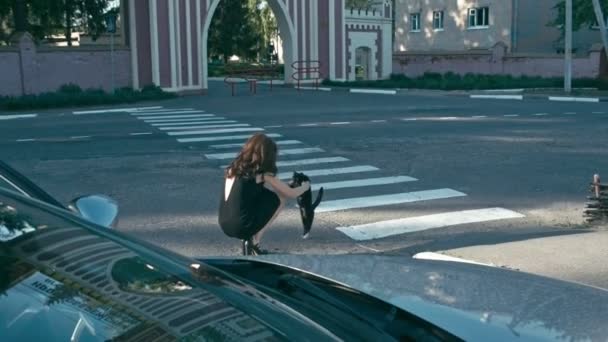 路上の猫と女の子 — ストック動画