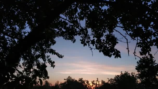 Coucher de soleil d'été Time lapse 