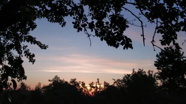 Atardecer de verano Time lapse — Vídeos de Stock