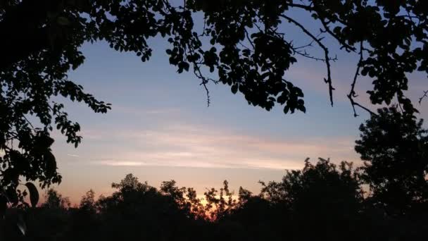 Summer sunset Time lapse — Wideo stockowe