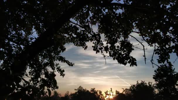 Zomer zonsondergang time-lapse, lus — Stockvideo