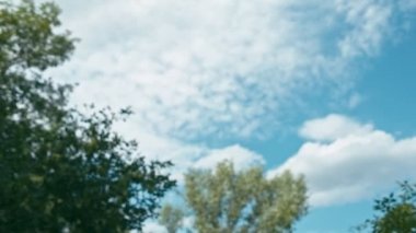 Ormandaki neşeli genç kadın