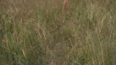 Çayır neşeli genç kadın