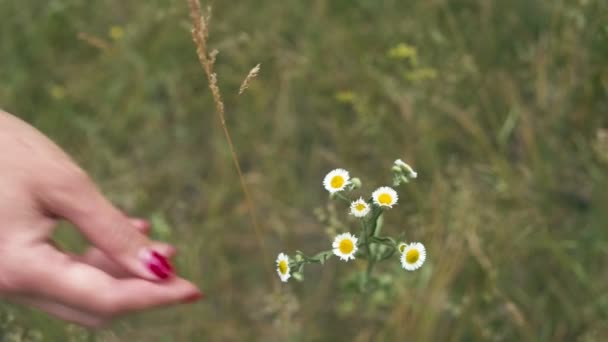 Jonge vrouw nemen bloem — Stockvideo