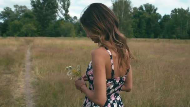 Cheerful young woman at meadow — Stock Video