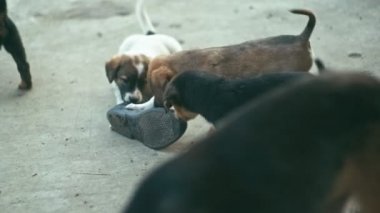 Evsiz kukla açık havada