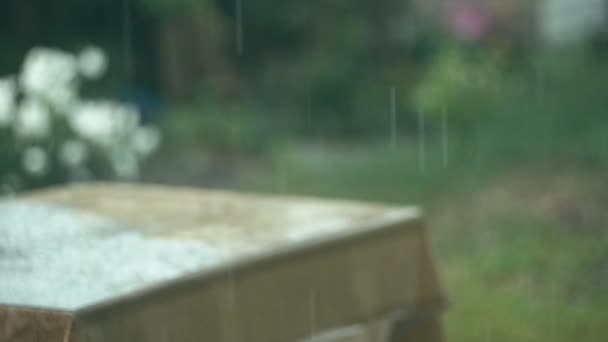 Droppar på regn av suddig bakgrund — Stockvideo