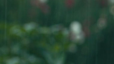 Arka plan bulanık yağmur damlaları