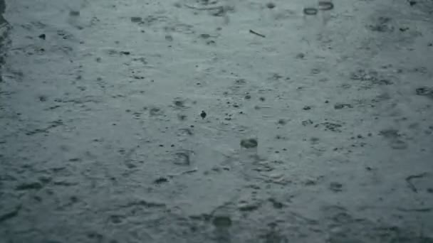Druppels regen op betonnen vloer — Stockvideo