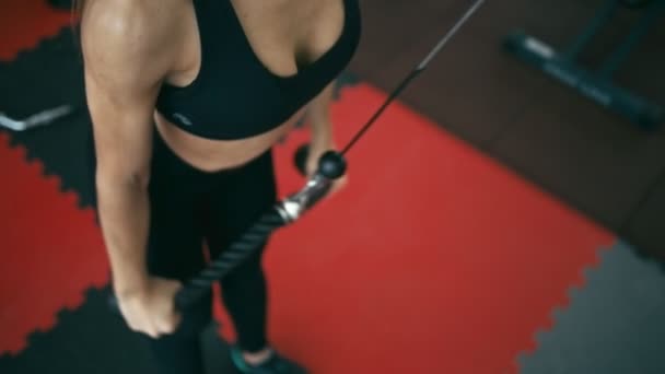 Entrenamiento de tríceps con mujer en forma — Vídeos de Stock