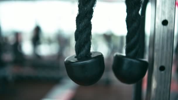 Triceps séance d'entraînement avec femme en forme — Video