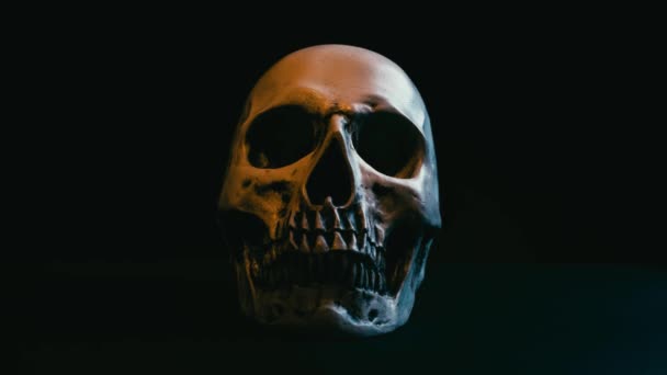 Cráneo en la oscuridad — Vídeo de stock