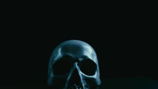 Cráneo en la oscuridad — Vídeo de stock