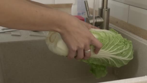 Wassen van kool op keuken — Stockvideo