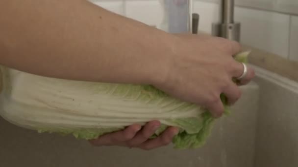 Washing cabbage on kitchen — Stock Video