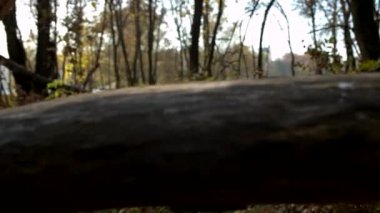 Sonbahar genç kadın