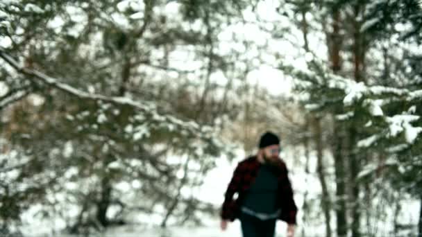 Bearded man going through woods — Stock Video