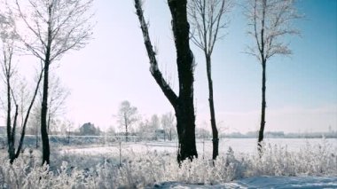 Güzel soğuk güneşli kış manzarası