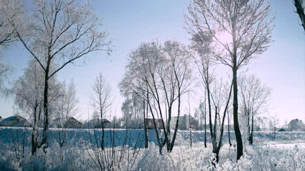 Bela paisagem de inverno ensolarado gelado — Vídeo de Stock