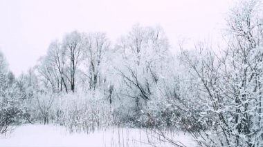 Güzel soğuk güneşli kış manzarası