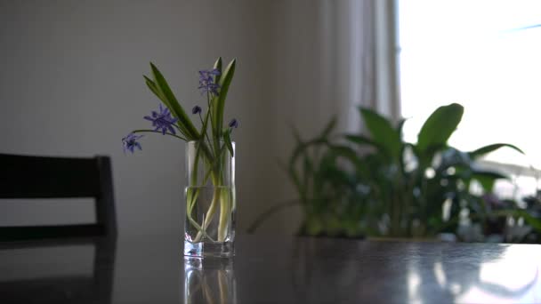 水のガラスのテーブルの栄光の雪 浅い分野の深さ — ストック動画