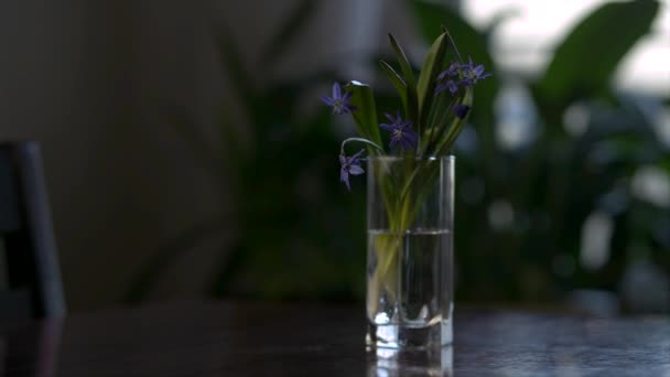 Ruhm Des Schnees Auf Dem Tisch Glas Wasser Geringe Schärfentiefe — Stockvideo