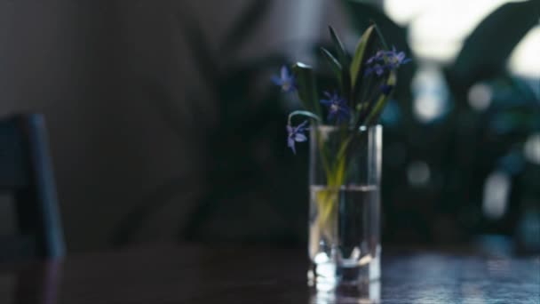 Glory Snow Table Glass Water Shallow Depth Field Focus Transition — Stock Video