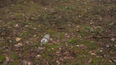 Ormanda eski plastik şişe