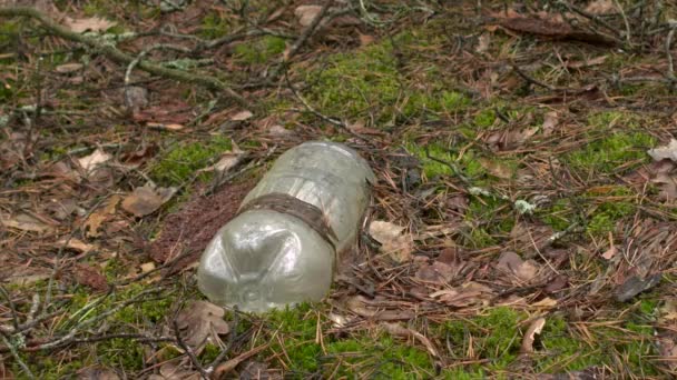 Garrafa de plástico velho na floresta — Vídeo de Stock