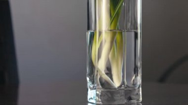 Masadaki karın ihtişamı bir bardak su, sığ alan derinliği, odak değişimi.