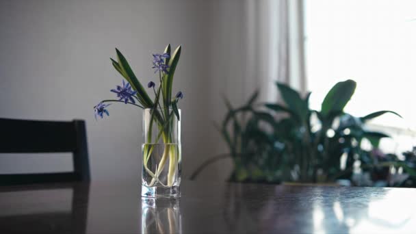 Glory Snow Table Glass Water Shallow Depth Field Focus Transition — ストック動画