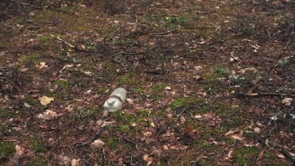 Gammal Plast Flaska Skogen Föroreningar Koncept — Stockvideo