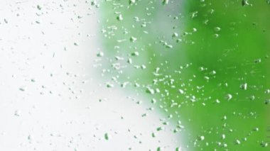 Dikey video, bulanık yeşil arkaplan ve yağmurdan damlayan çiy damlaları