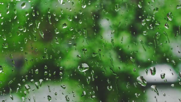 Dewdrops Vidro Chuva Com Fundo Verde Desfocado — Vídeo de Stock