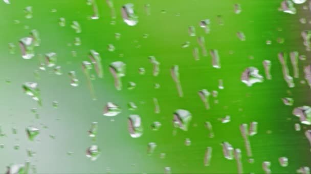 Gouttes Rosée Sur Verre Pluie Avec Fond Vert Flou Panoramique — Video