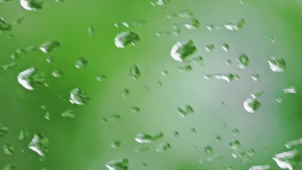 Dewdrops Vidro Chuva Com Turva Verde Transição Fundo Vertical Para — Vídeo de Stock