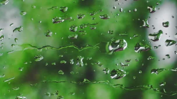 Vídeo Vertical Gotas Orvalho Vidro Chuva Com Fundo Verde Desfocado — Vídeo de Stock