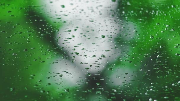 Vertical Video Dewdrops Glass Rain Blurred Green Background Focus Transition — Stock Video