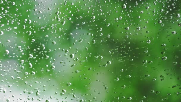 Verticale Video Dauwdruppels Glas Van Regen Met Wazig Groene Achtergrond — Stockvideo