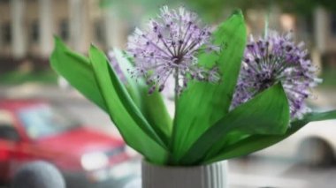 Kahve dükkanında masa durgun. Pencerede bir buket bahar çiçeği var. Yavaş çekimde.