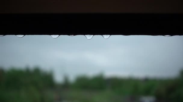 Drops Rain Falling Macro Shot Shallow Depth Field Green Landscape — ストック動画