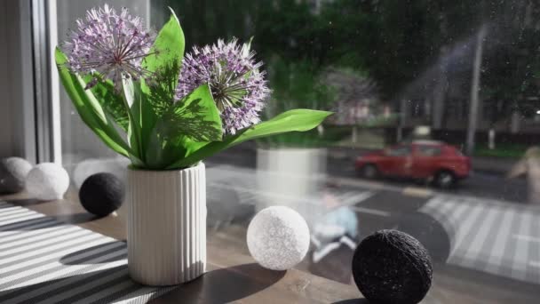 Tischstillleben Café Mit Frühlingsblumenstrauß Fenster Zeitlupe — Stockvideo
