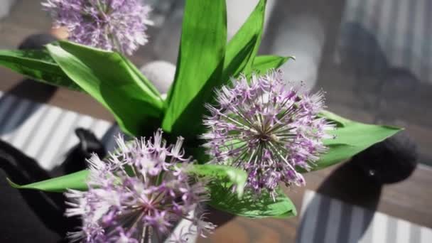Kahve Dükkanında Bir Buket Bahar Çiçeğiyle Çekilen Masa Yavaş Çekimde — Stok video