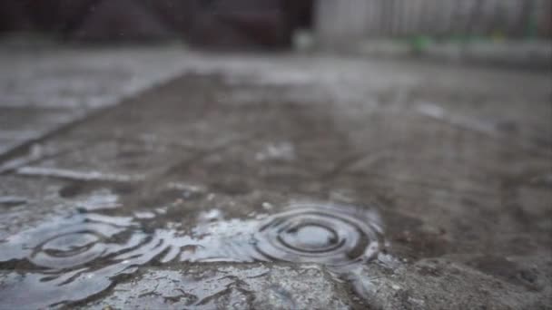 Regentropfen Die Pfützen Fallen Geringe Schärfentiefe Zeitlupe — Stockvideo