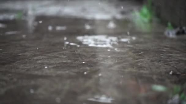 Drops Rain Falling Puddle Shallow Depth Field Slow Motion — Stock Video