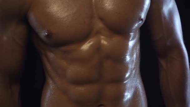 Jeune homme en forme montrant les muscles abdominaux, boucle — Video