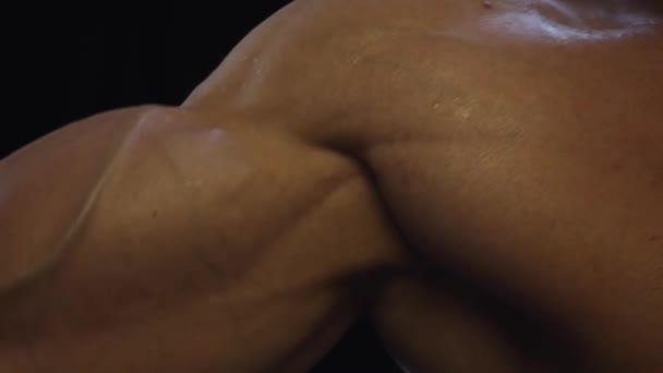 Jonge passen kerel weergegeven: biceps — Stockvideo